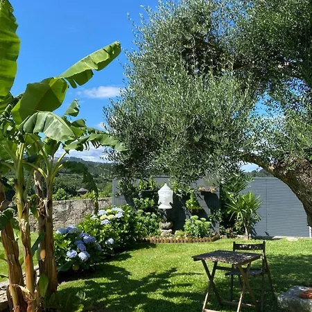 Casa D' Almeidas * Amares