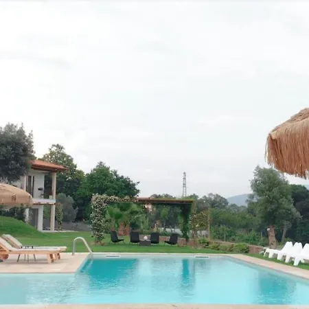 Casa D' Almeidas アマレス