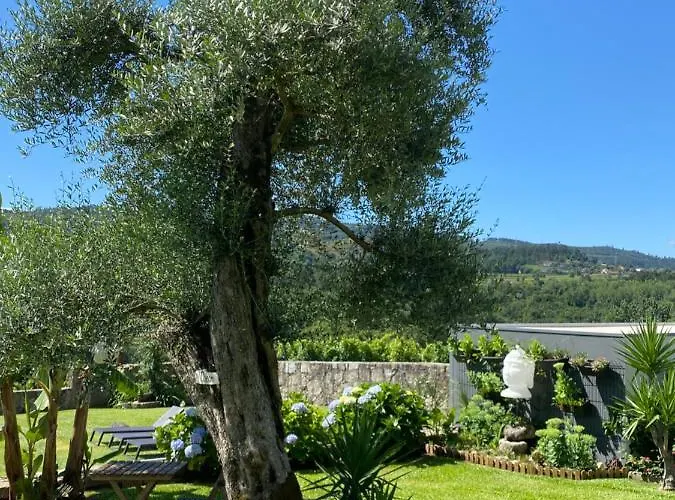 Apartman Casa D' Almeidas