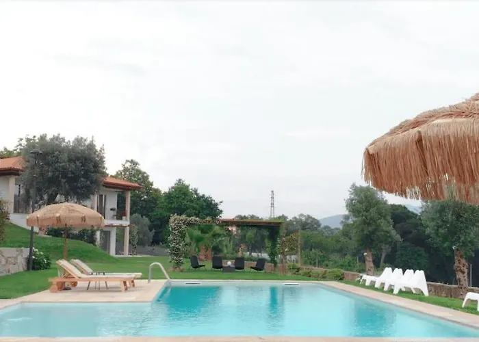 Casa D' Almeidas Amares