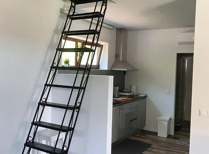 Casa D' Almeidas アマレス