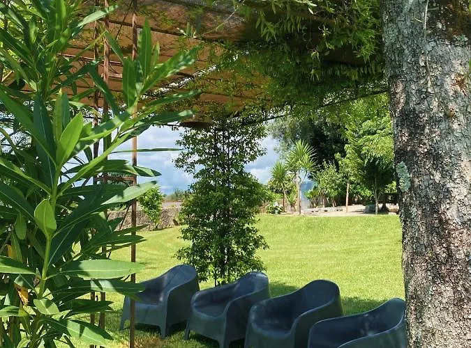 Casa D' Almeidas * アマレス